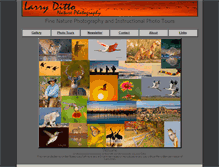 Tablet Screenshot of larryditto.com